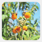 Bienen am Arbeitsplatz Quadratischer Aufkleber (Vorderseite)