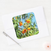 Bienen am Arbeitsplatz Quadratischer Aufkleber (Umschlag)