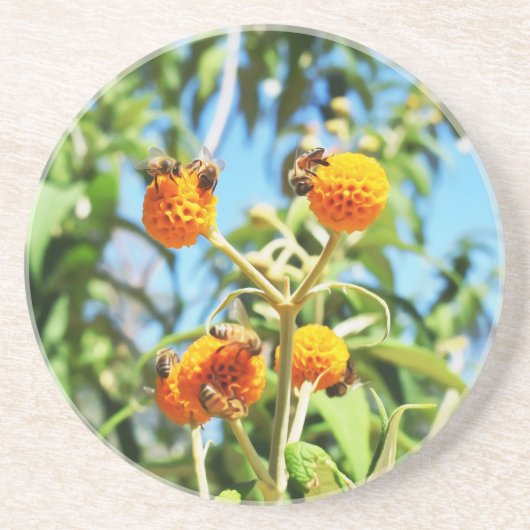 Bienen am Arbeitsplatz Sandstone-Untersetzer Getränkeuntersetzer (Vorne)