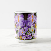 Bienen-Ansammlung Nectar aus den Blume von Crocus Kaffeetasse (Mittel)