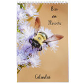Bienen auf Blume Kalender (Titelbild)