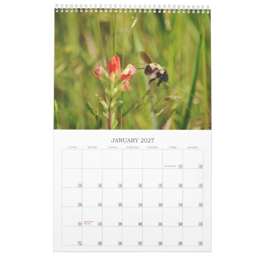 Bienen auf Blume Kalender (Jan 2027)
