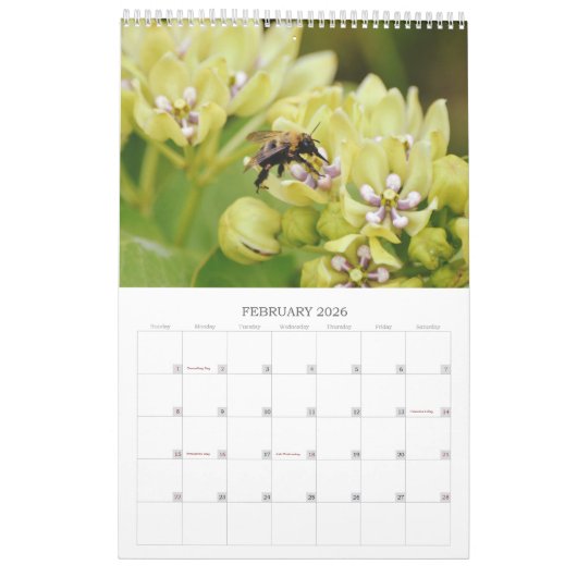Bienen auf Blume Kalender (Feb 2026)