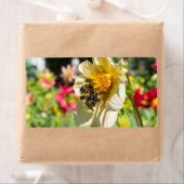 Bienen auf einer Blume (Insitu)