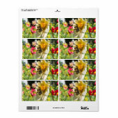Bienen auf einer Blume (Vorne)