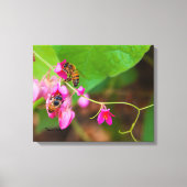 Bienen auf Korallenreben-Blume Leinwanddruck (Vorderseite)