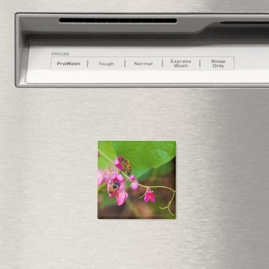 Bienen auf Korallenreben-Blume Magnet (In Situ (Geschirrspüler))