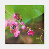 Bienen auf Korallenreben-Blume Magnet (Vorne)