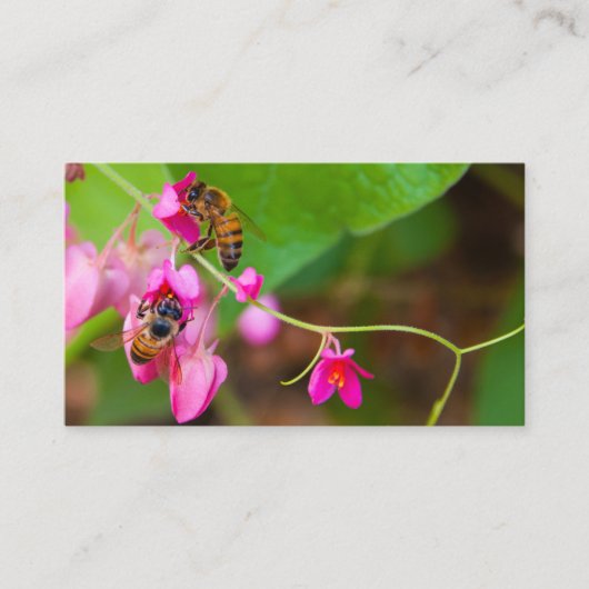 Bienen auf Korallenweinpflanzen Blume Fotografie Visitenkarte (Vorderseite)