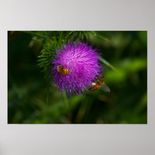 Bienen auf Milchfleckenkopfkartoffeln Poster