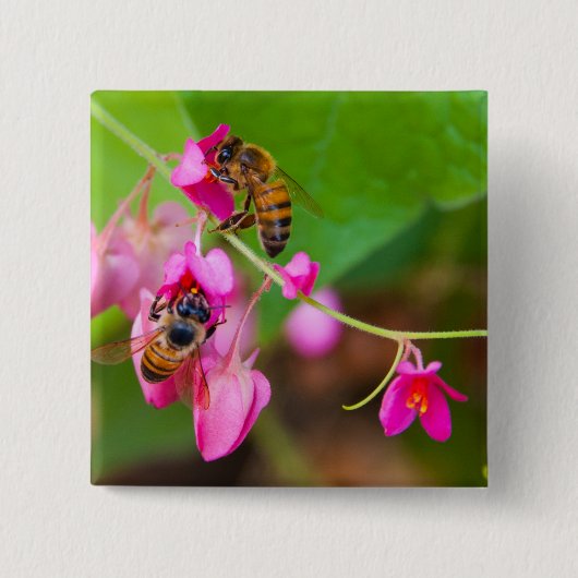 Bienen auf rosa korallenrote button (Vorderseite)