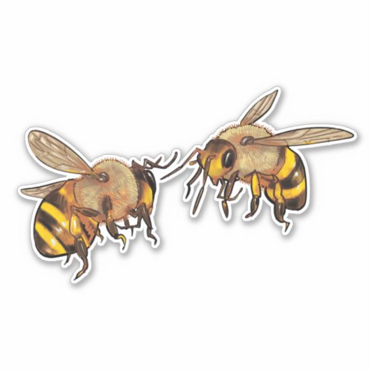 Bienen Aufkleber (Vorderseite)