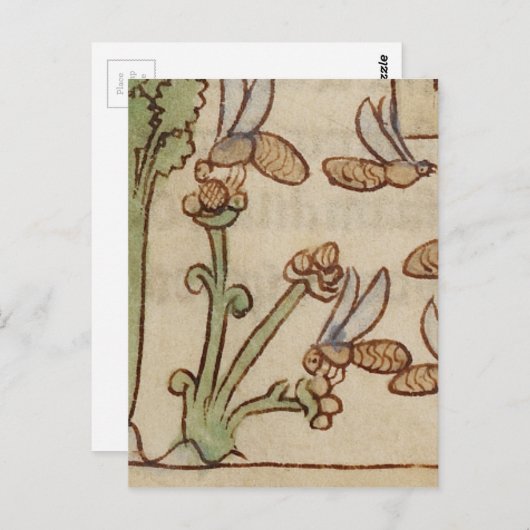 Bienen aus einem mittelalterlichen Manuskript Postkarte (Vorne/Hinten)