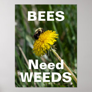 Bienen brauchen Unkraut Poster