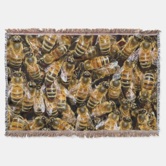 Bienen Decke (Vorderseite)