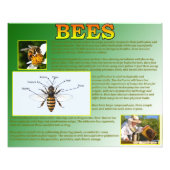 Bienen Fotodruck (Vorne)