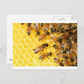 Bienen Hive Honey Comb Sweet Dessert Yellow Postkarte (Vorne/Hinten)