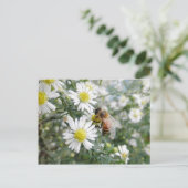 Bienen Honey Bee Wildblumen Blume Foto Postkarte (Stehend Vorderseite)