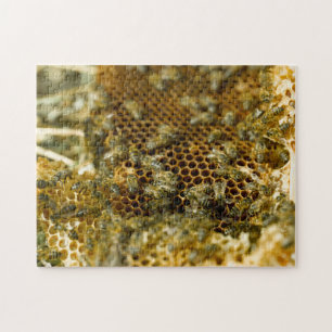 Bienen im Bienenstock, Western Cape, Südafrika Puzzle