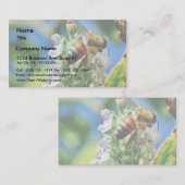 Bienen-Insekt Visitenkarte (Vorne/Hinten)