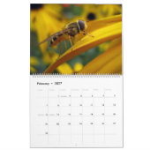 Bienen Kalender (Feb 2027)