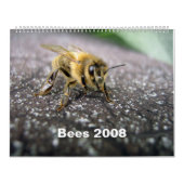 Bienen Kalender (Titelbild)