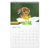 Bienen Kalender (Feb 2027)