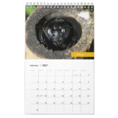 Bienen Kalender (Jan 2027)