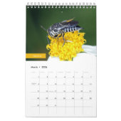 Bienen Kalender (Mär 2026)