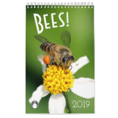 Bienen Kalender (Titelbild)