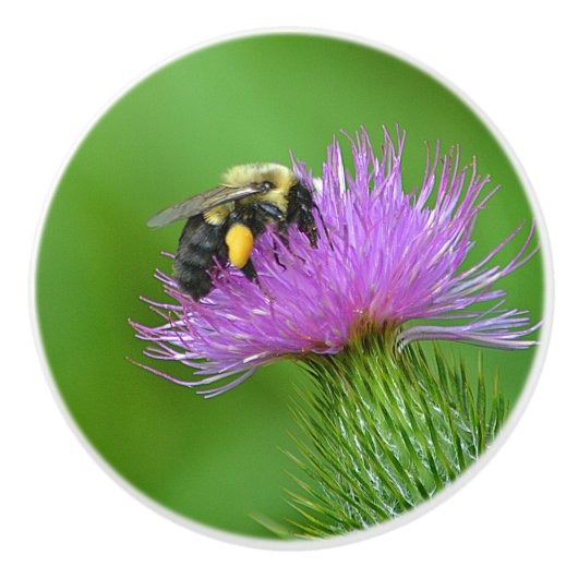 Bienen-Keramik Keramikknauf (Vorderseite)