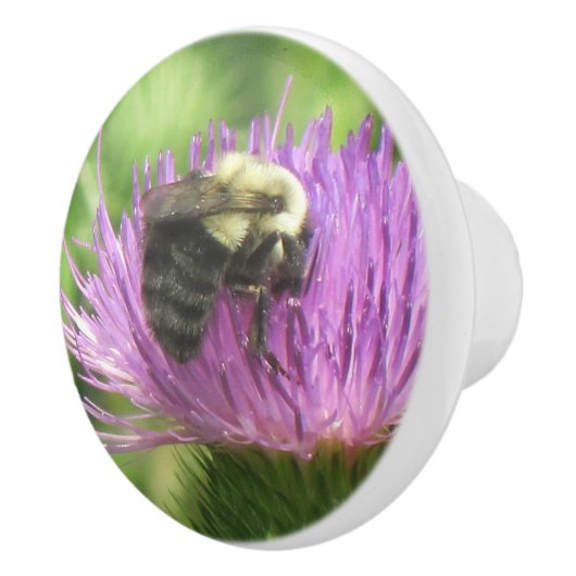 Bienen-Keramik Keramikknauf (Rechts)