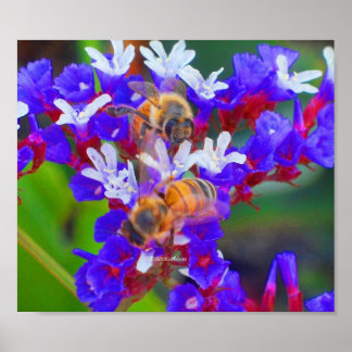 Bienen, Liebe & Bliss Poster