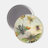 Bienen Magnet (Vorderseite/Rückseite)