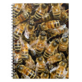 Bienen Notizblock (Vorderseite)