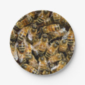 Bienen Pappteller (Vorderseite)