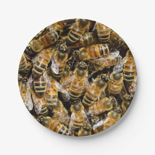 Bienen Pappteller (Vorderseite)