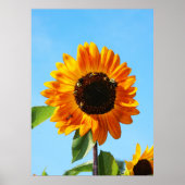 Bienen-Party 1 Poster (Vorne)