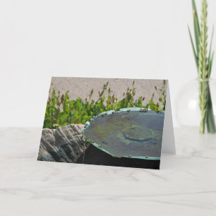 Bienen, Phoenix, Arizona Karte