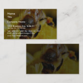 Bienen Pollen Insekten Wings Macro Bugs Visitenkarte (Vorne/Hinten)