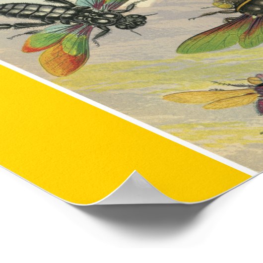 Bienen Poster (Ecke)