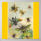 Bienen Poster (Vorne)