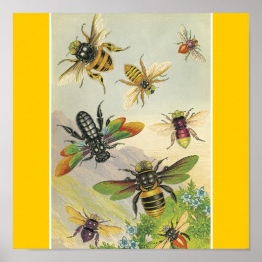Bienen Poster (Vorne)