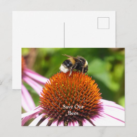 BIENEN POSTKARTE (Vorne/Hinten)