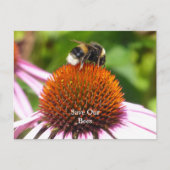 BIENEN POSTKARTE (Vorderseite)