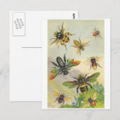 Bienen Postkarte (Vorne/Hinten)