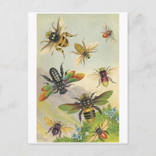 Bienen Postkarte (Vorderseite)
