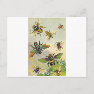 Bienen Postkarte
