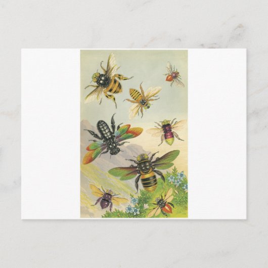 Bienen Postkarte (Vorderseite)