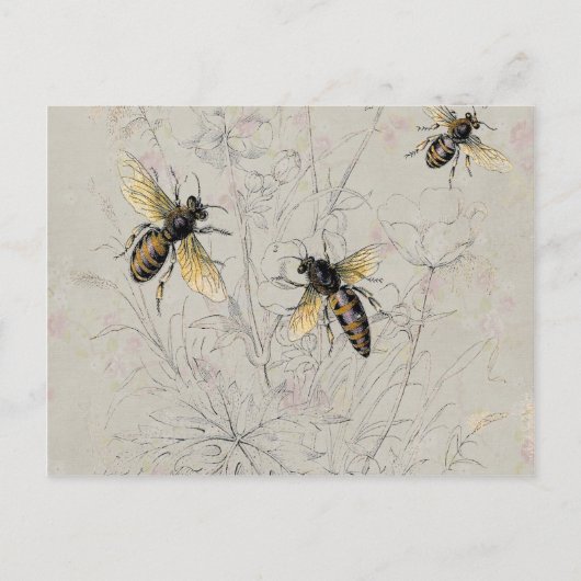 Bienen Postkarte (Vorderseite)